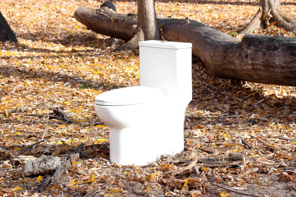 Shop the Entire Line of Odorless Toilets from Ecoair